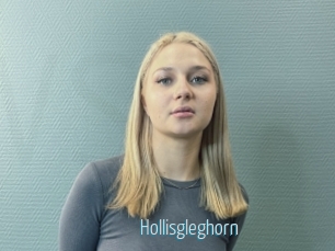 Hollisgleghorn