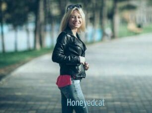 Honeyedcat