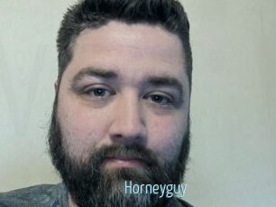 Horneyguy