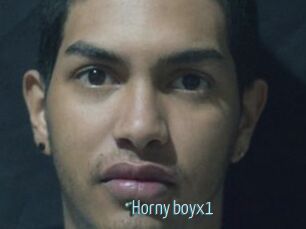 horny_boyx1 Video Sexe