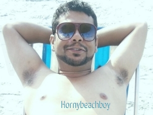 Hornybeachboy