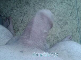 Hornydan1733