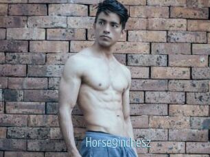 Horse9inchesz