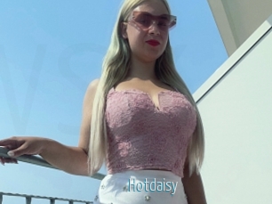 Hotdaisy