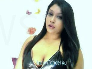 IndianTender4u
