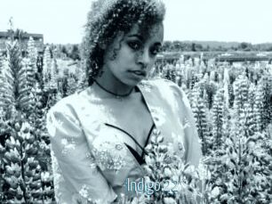 Indigo_22
