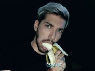 Itsgelviz
