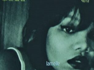 Iamelle
