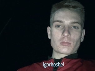 Igorkoshel