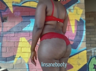 Iinsanebooty