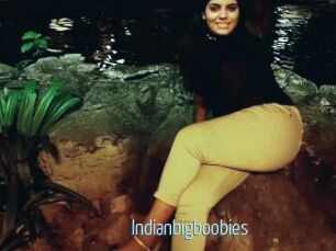 Indianbigboobies