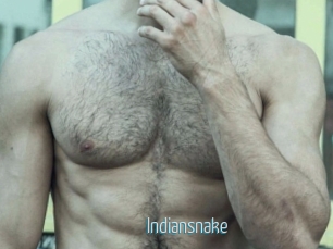 Indiansnake