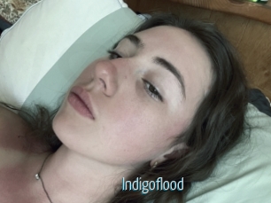 Indigoflood