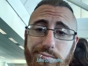 Jakesbigsnake