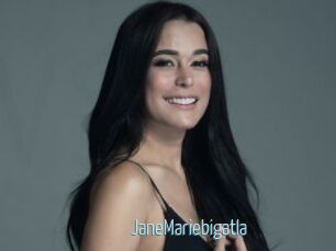 JaneMariebigatla