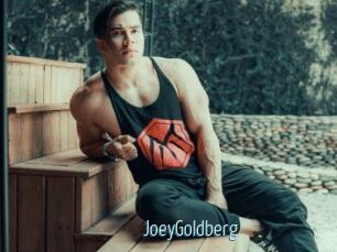 JoeyGoldberg