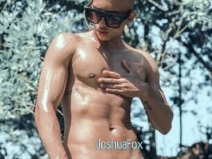 JoshuaFox