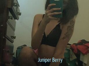 Juniper_Berry