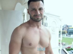 Jakall