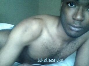 Jake_tha_snake