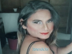 janesdicks Video Sexe