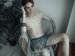 Jaybreeze