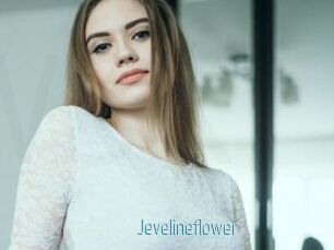 Jevelineflower