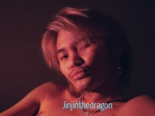 Jinjinthedragon