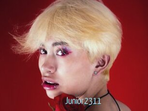 Junior2311