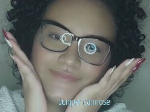 Juniper_camrose