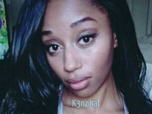 K3nzikat