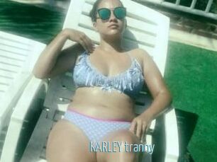 KARLEY_tranny