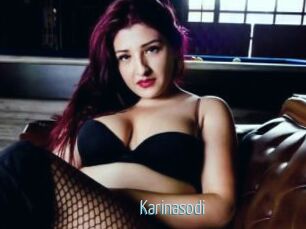 Karinasodi