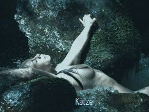 Katze