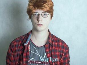 KevinTiger