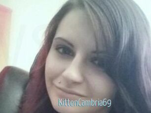 KittenCambria69