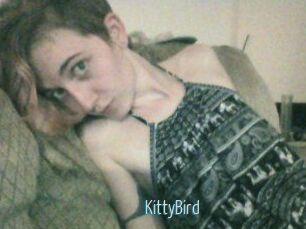KittyBird