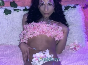 Kamilakrays