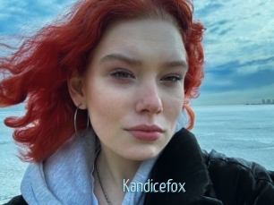 Kandicefox