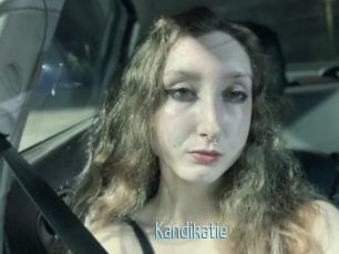 Kandikatie