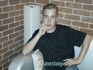Kanesteep