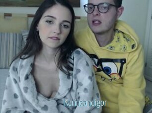 Karinaandigor