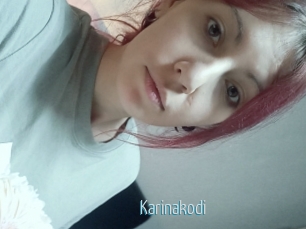Karinakodi