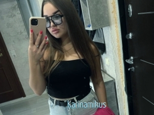 Karinamikus