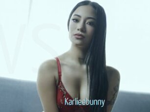 Karlieebunny
