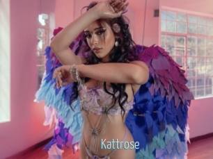 Kattrose