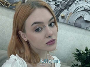 Kattyamini