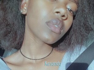 Kesandu
