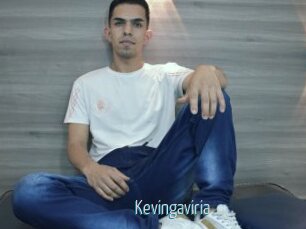 Kevingaviria