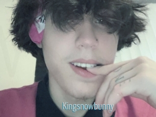 Kingsnowbunny